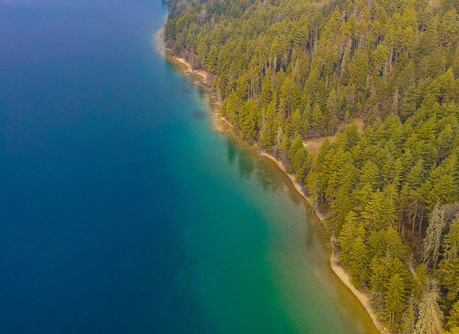 Blue pine and fir forest inside Rara National Park
